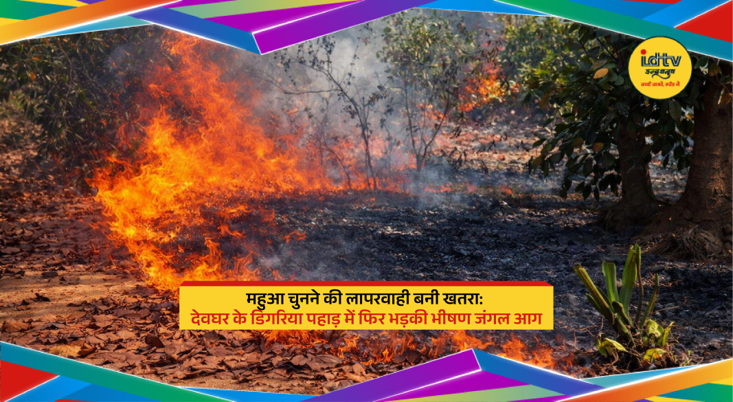 Massive forest fire blazing across Digaria hills in Deoghar with smoke engulfing trees and rescue efforts underway