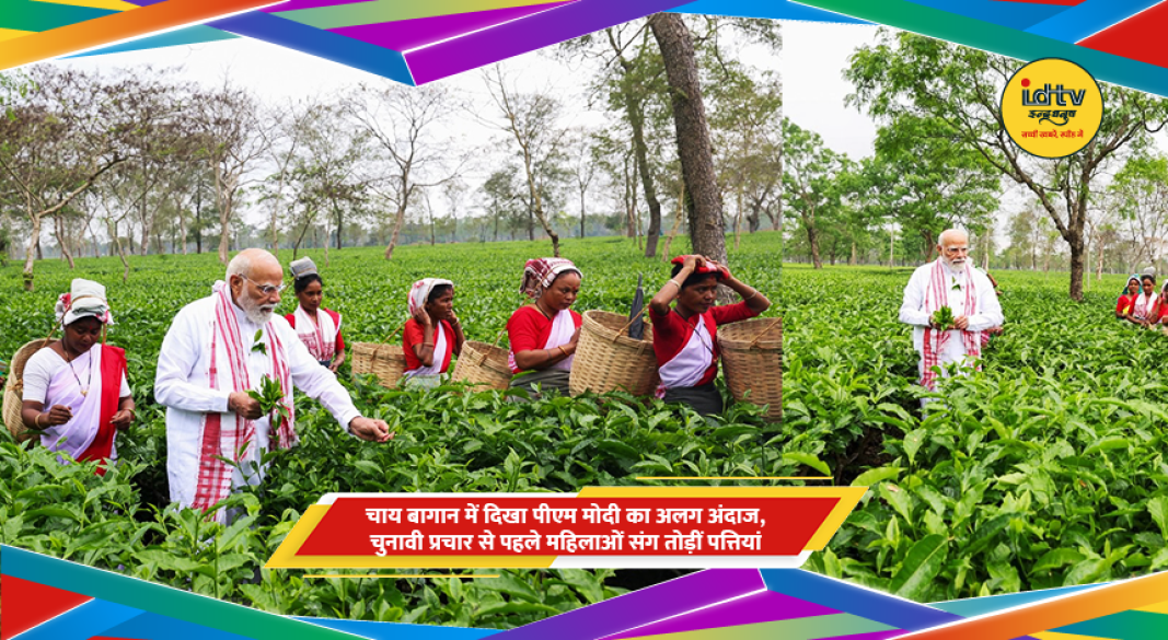 चाय बागान में महिला श्रमिकों के साथ चाय पत्तियां तोड़ते पीएम नरेंद्र मोदी