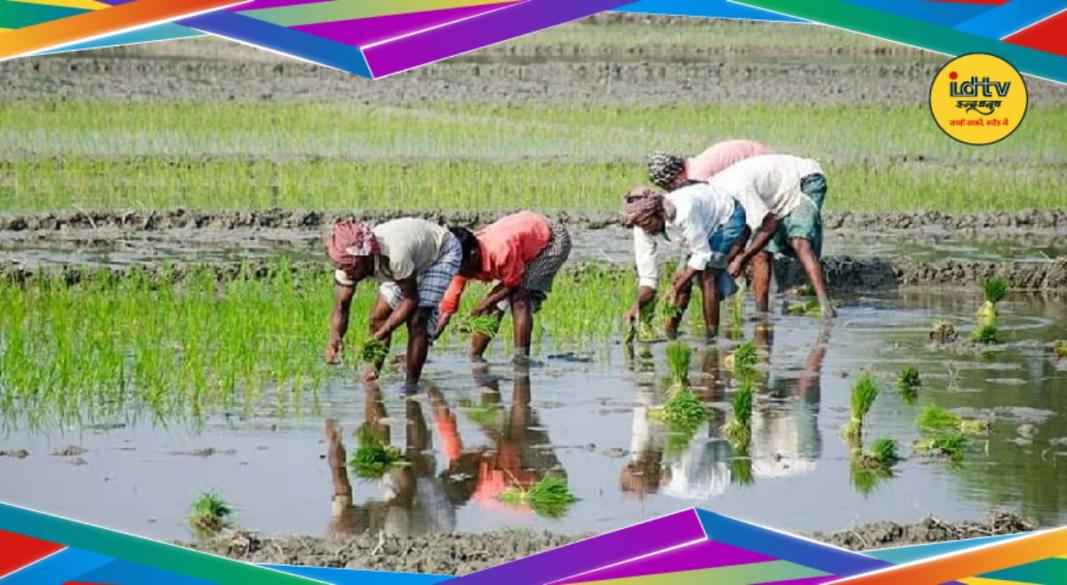 Garhwa Farmer