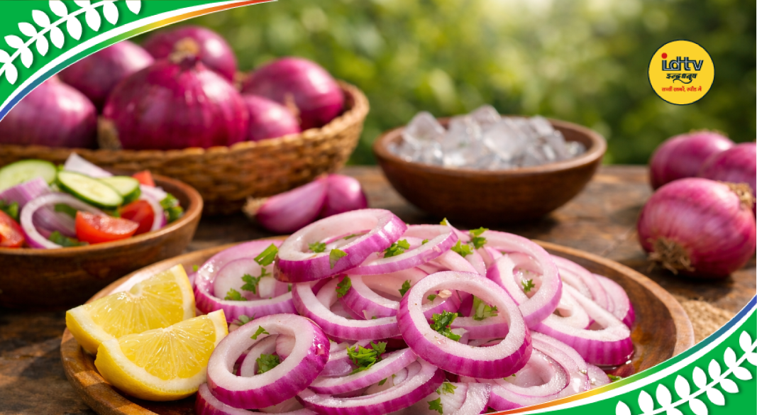 Fresh sliced raw onions served in salad, known for cooling benefits during summer heat
