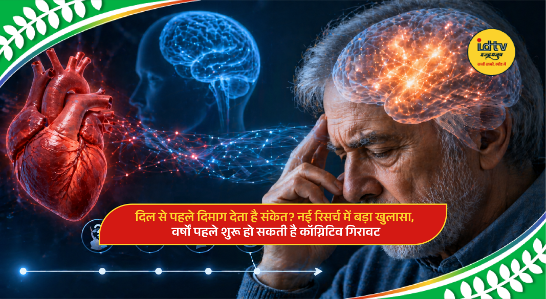 Brain and heart connection illustration showing early cognitive decline before heart disease risk