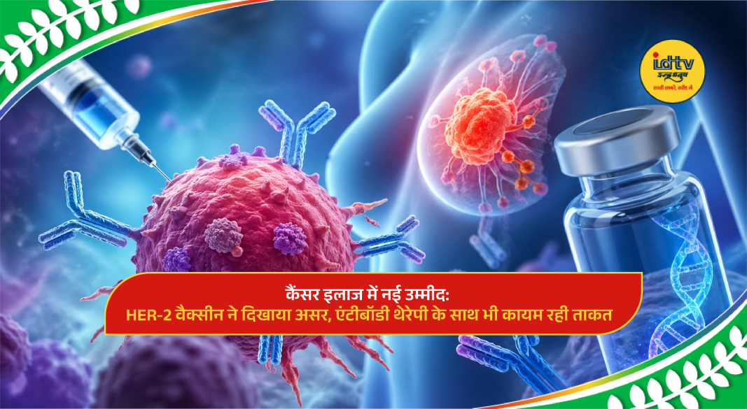 HER2 cancer vaccine research showing immune response targeting tumor cells in lab study