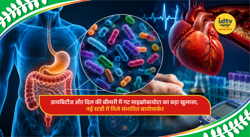 Scientific illustration of gut microbiota linked with diabetes and heart disease research findings