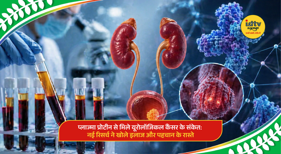 Blood sample analysis showing plasma proteins linked to urological cancer risk and detection