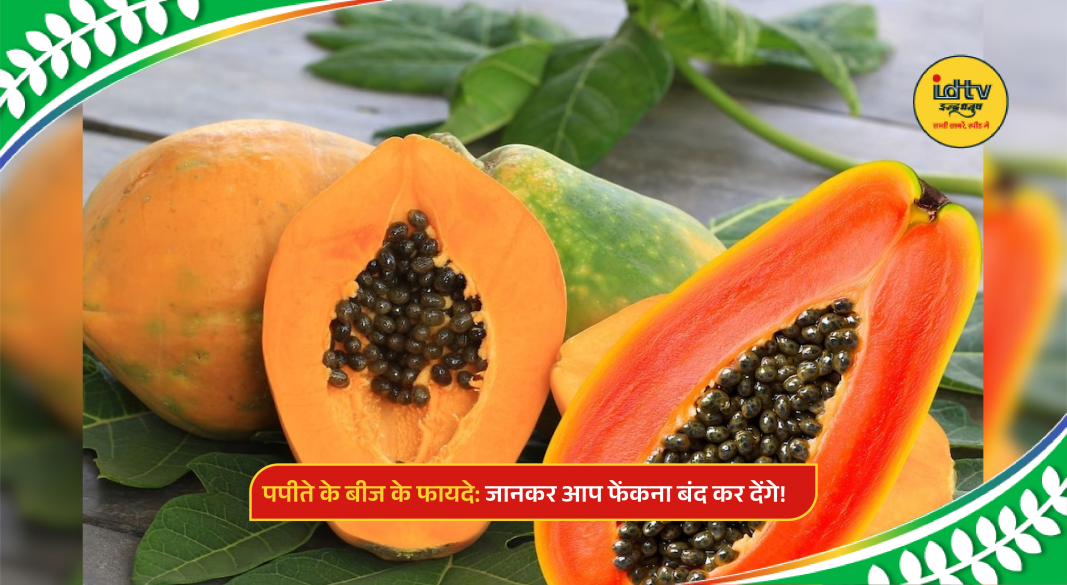 Close-up of papaya seeds beside fresh papaya slices on a wooden table