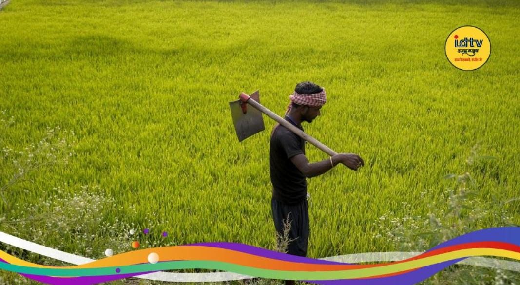 PM Crop Insurance Scheme