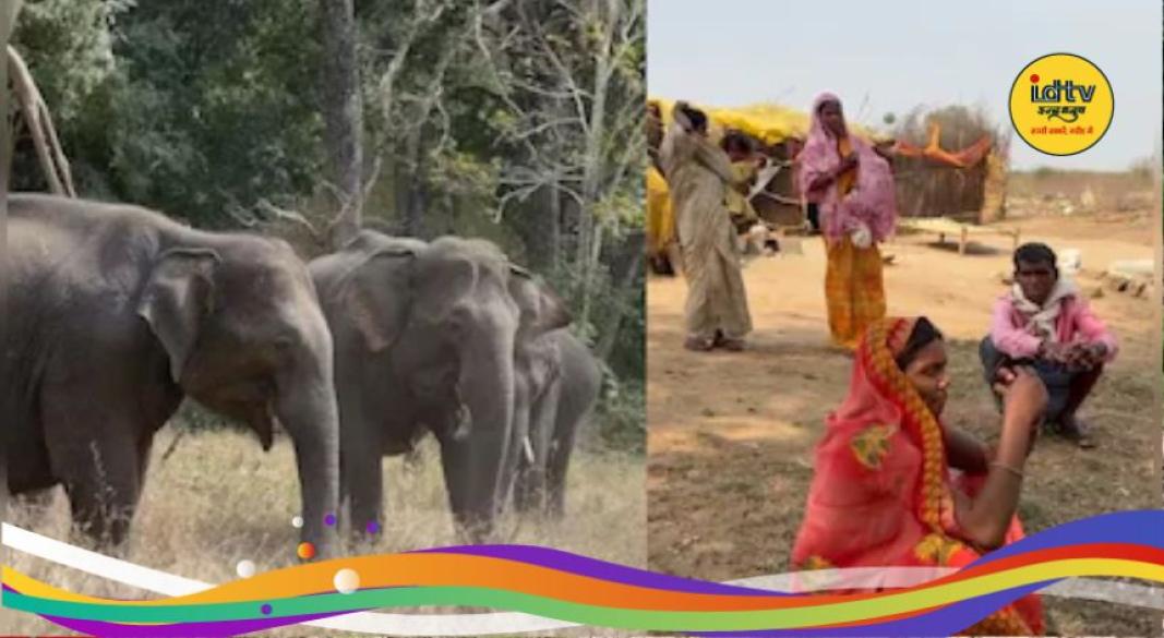 elephants attack in Garhwa