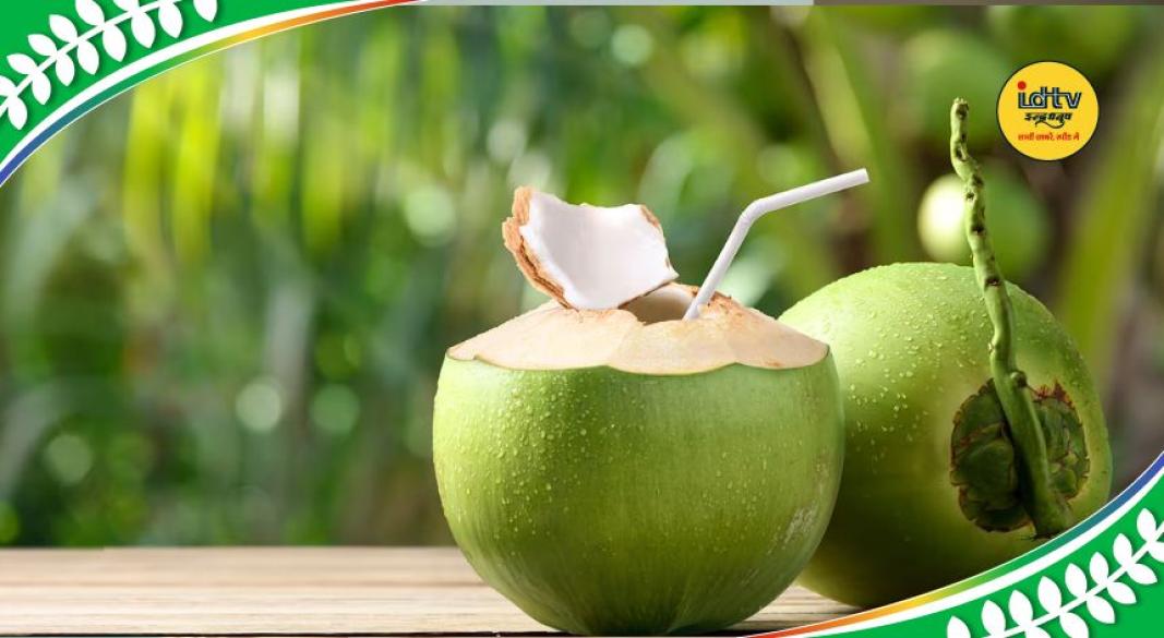 Water-filled coconut tips