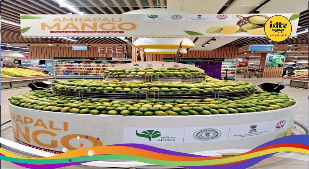 Jharkhand Amrapali Mango