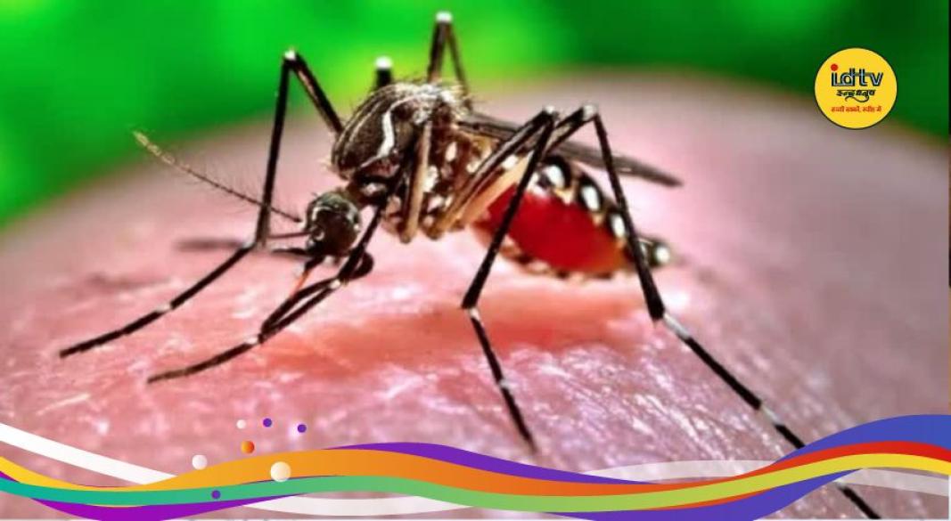 Dengue Alert Jharkhand