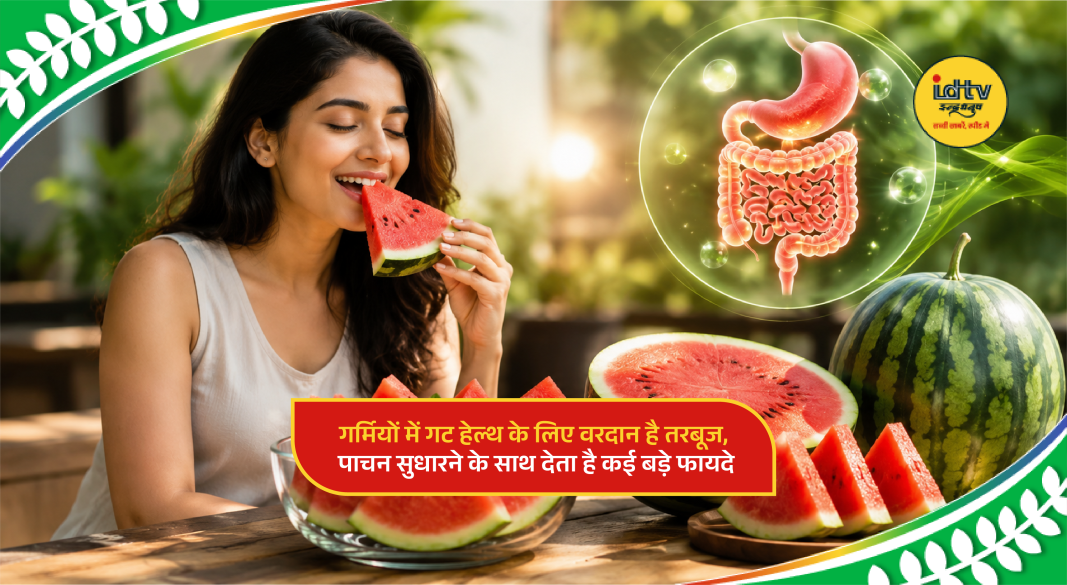 Fresh watermelon slices served in summer, known for supporting digestion and gut health.